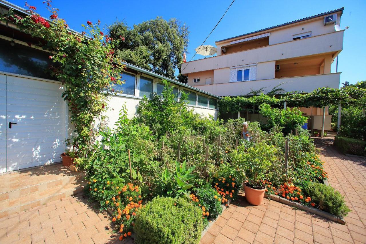 Sunny Apartments Bibinje Exterior foto